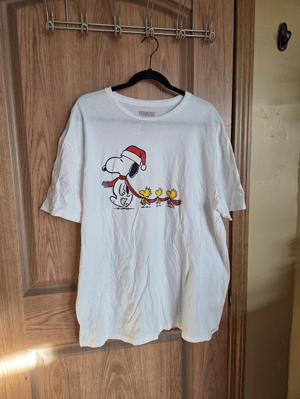 Snoopy & Woodstock Holiday Graphic Tee - White Size 2xl